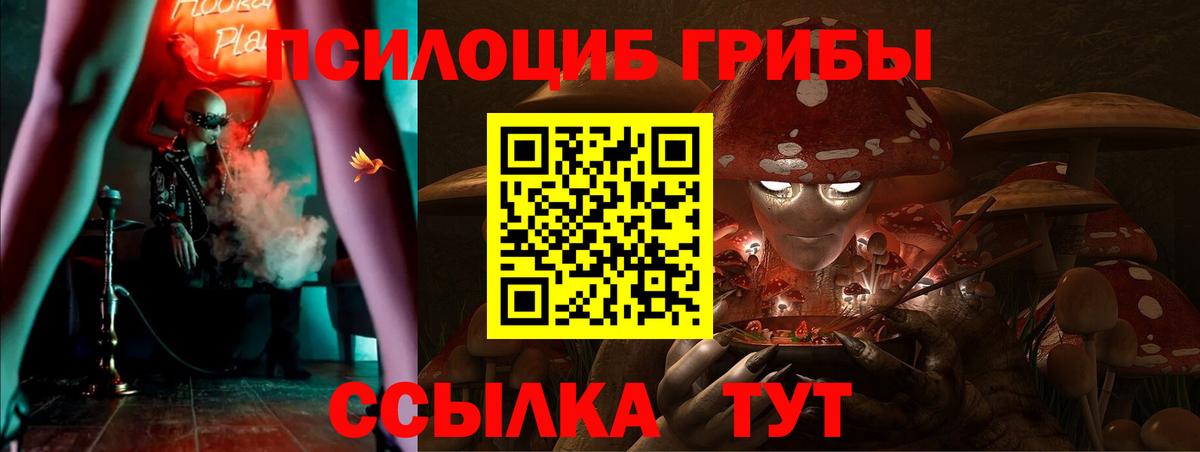 Псилоцибиновые грибы Psilocybine cubensis Смоленск